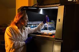 Research in Germany